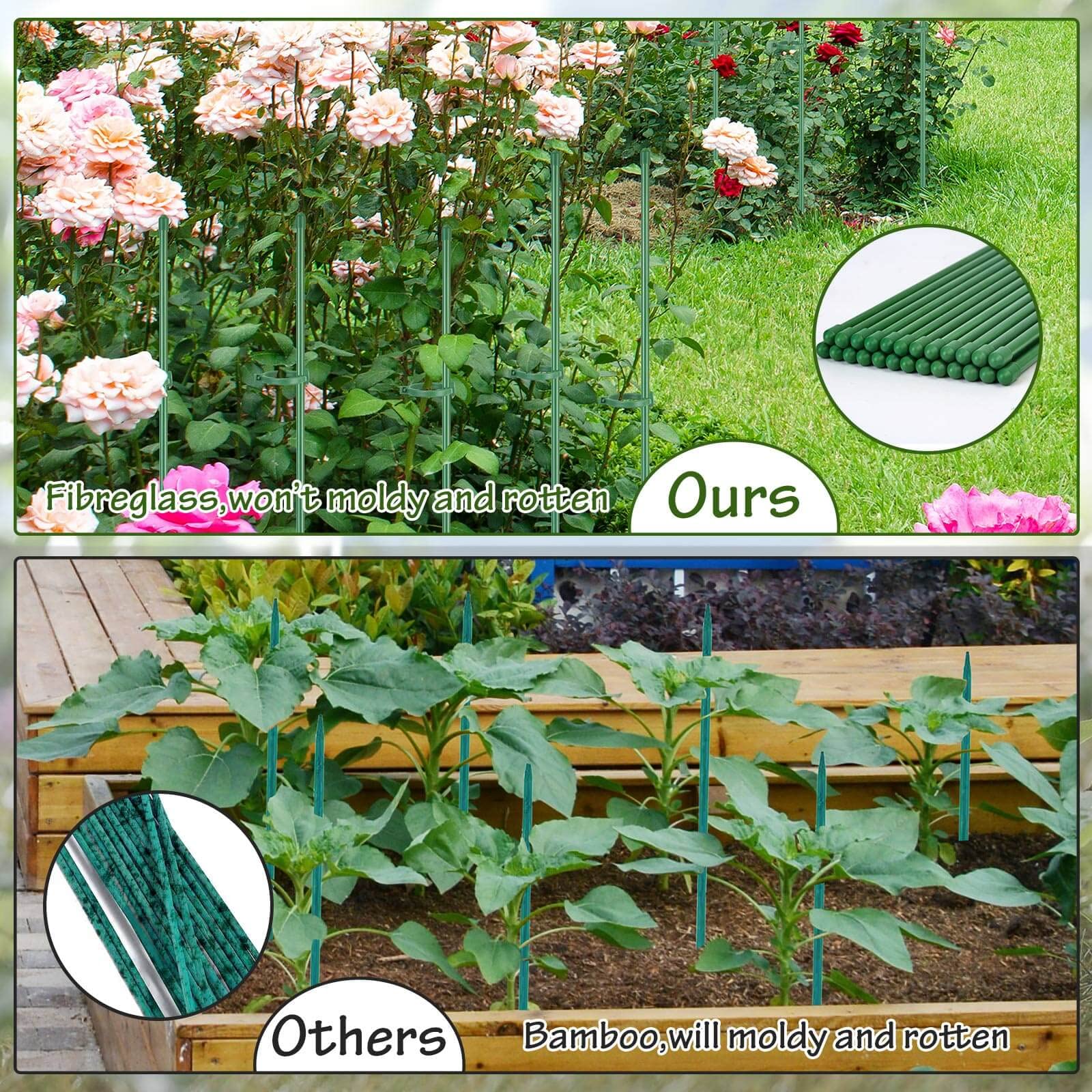 Tomato plant with Tetutor stake offers upright growth and support.