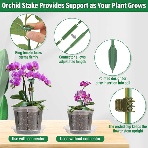 Clear Tetutor orchid pots in use showing visibility of roots