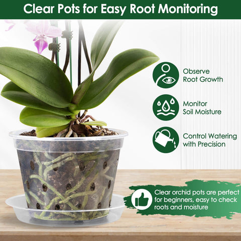 Tetutor clear pots with holes help monitor moisture and root health.