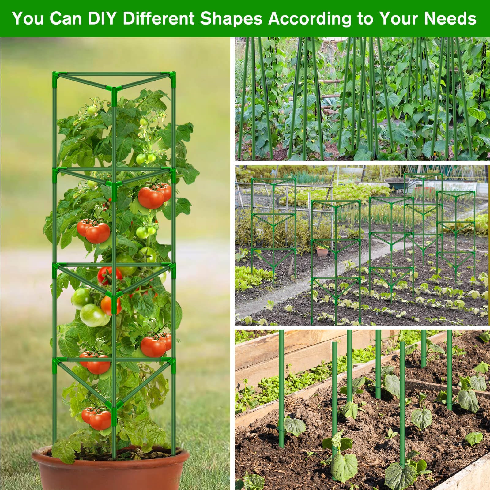 Tetutor tomato and vegetable stakes ideal for eggplant and cucumber.