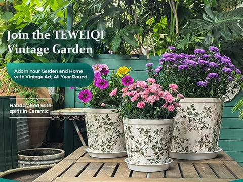 Teweiqi planter includes mesh and tray to protect surfaces.