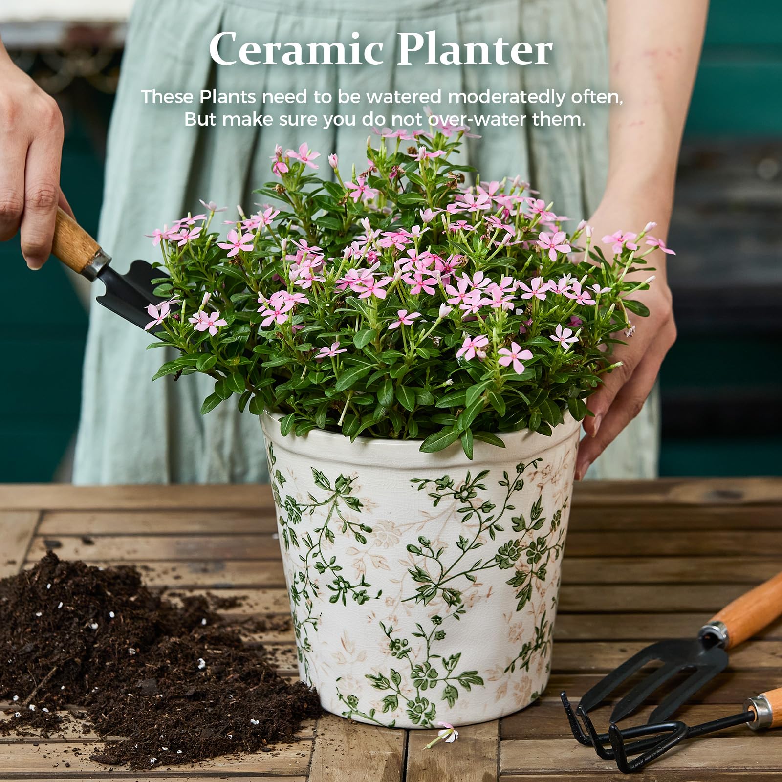 Teweiqi flower pot 6-7 inch ideal for orchids and greenery indoors.