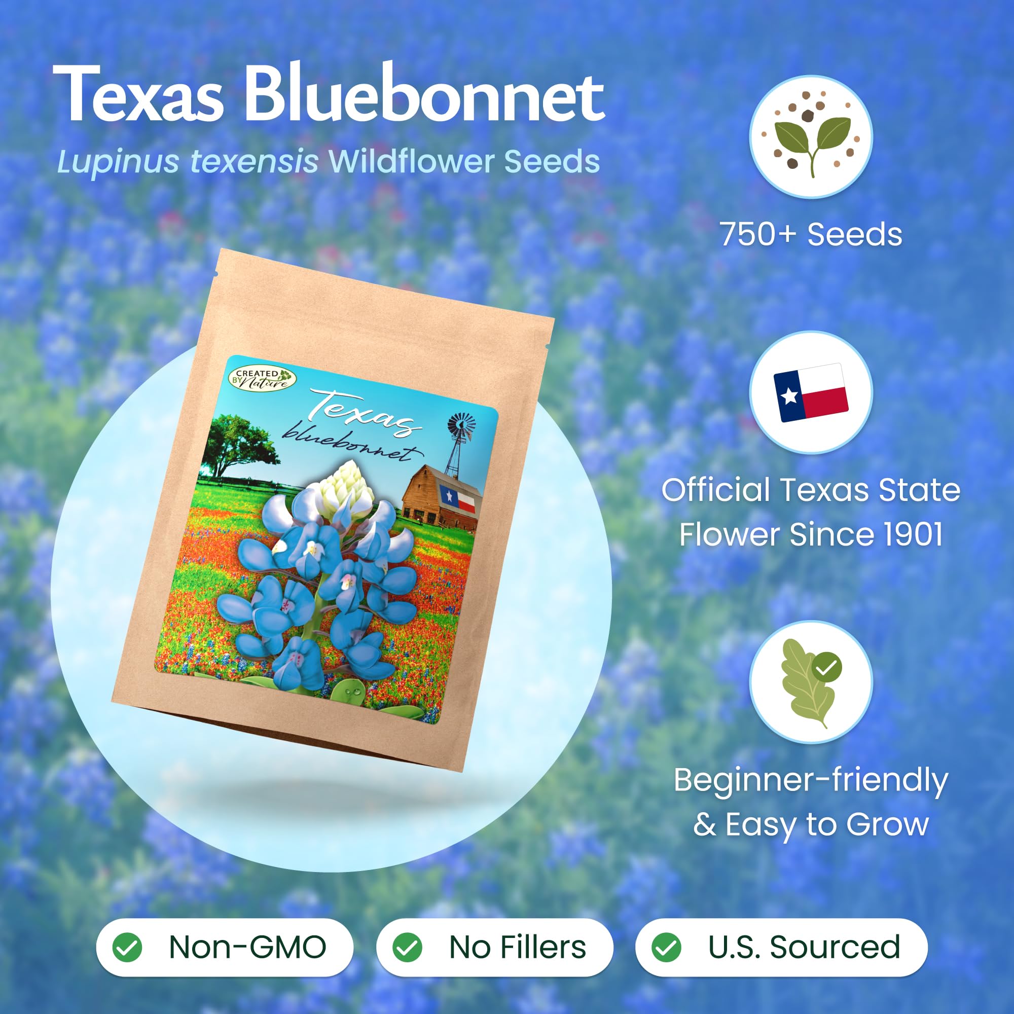 Texas Bluebonnet blooms in a field showcasing vibrant blue-violet color