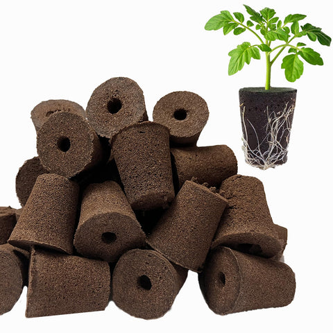 TEZKOLES 50-pack round hydroponic grow sponges for easy indoor plant propagation.