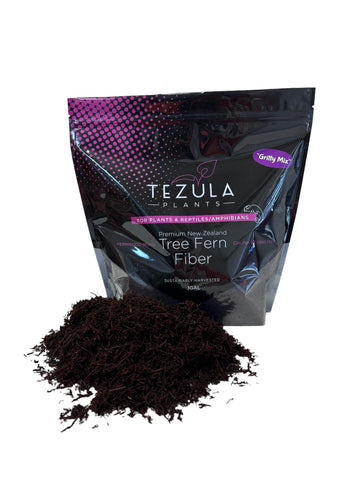 Tezula Plants gritty tree fern fiber bag for debris-free orchid repotting.