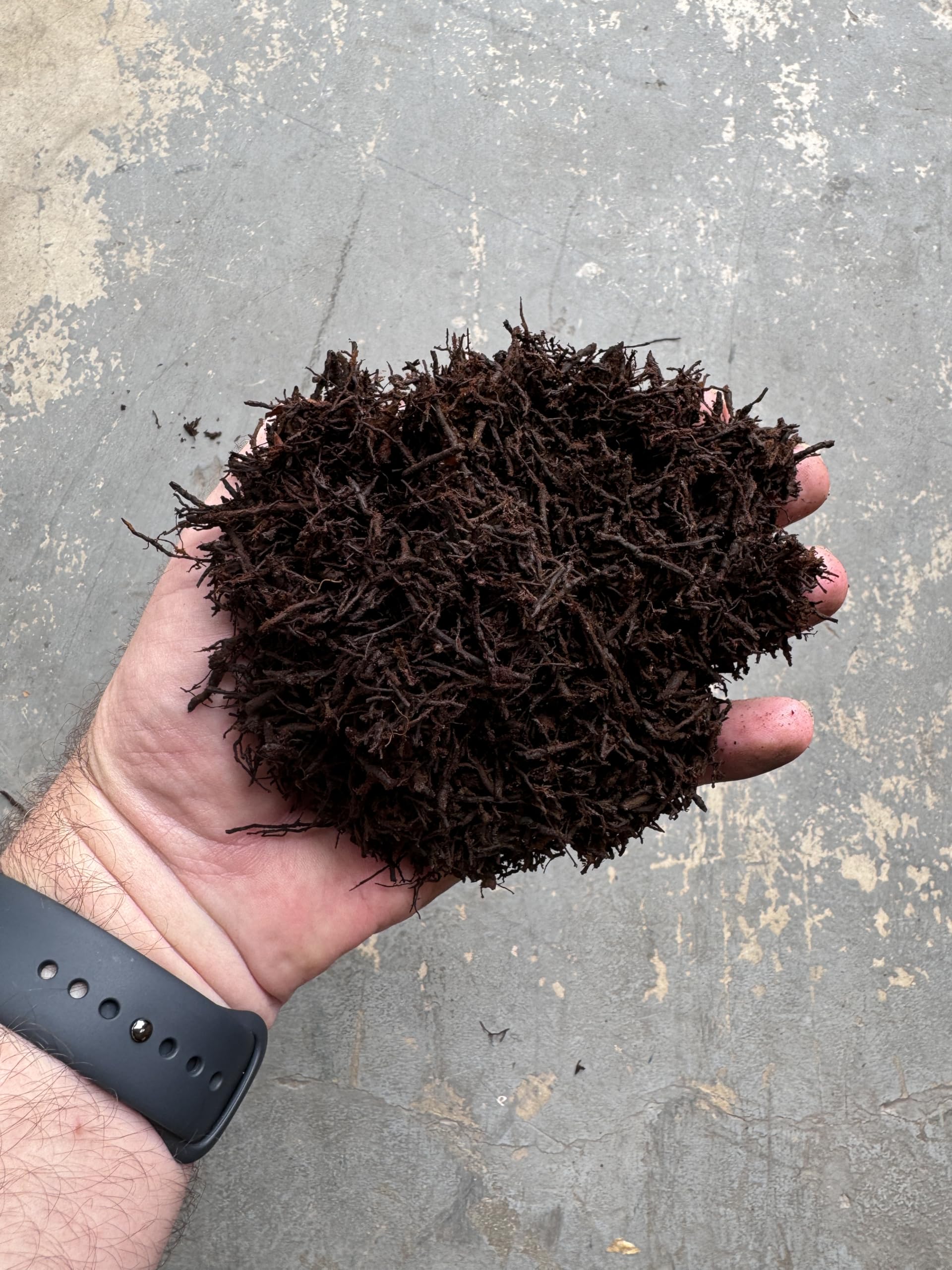 Tezula Plants tree fern substrate for orchids enhances drainage and air circulation.