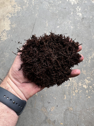 Tezula Plants tree fern substrate for orchids enhances drainage and air circulation.