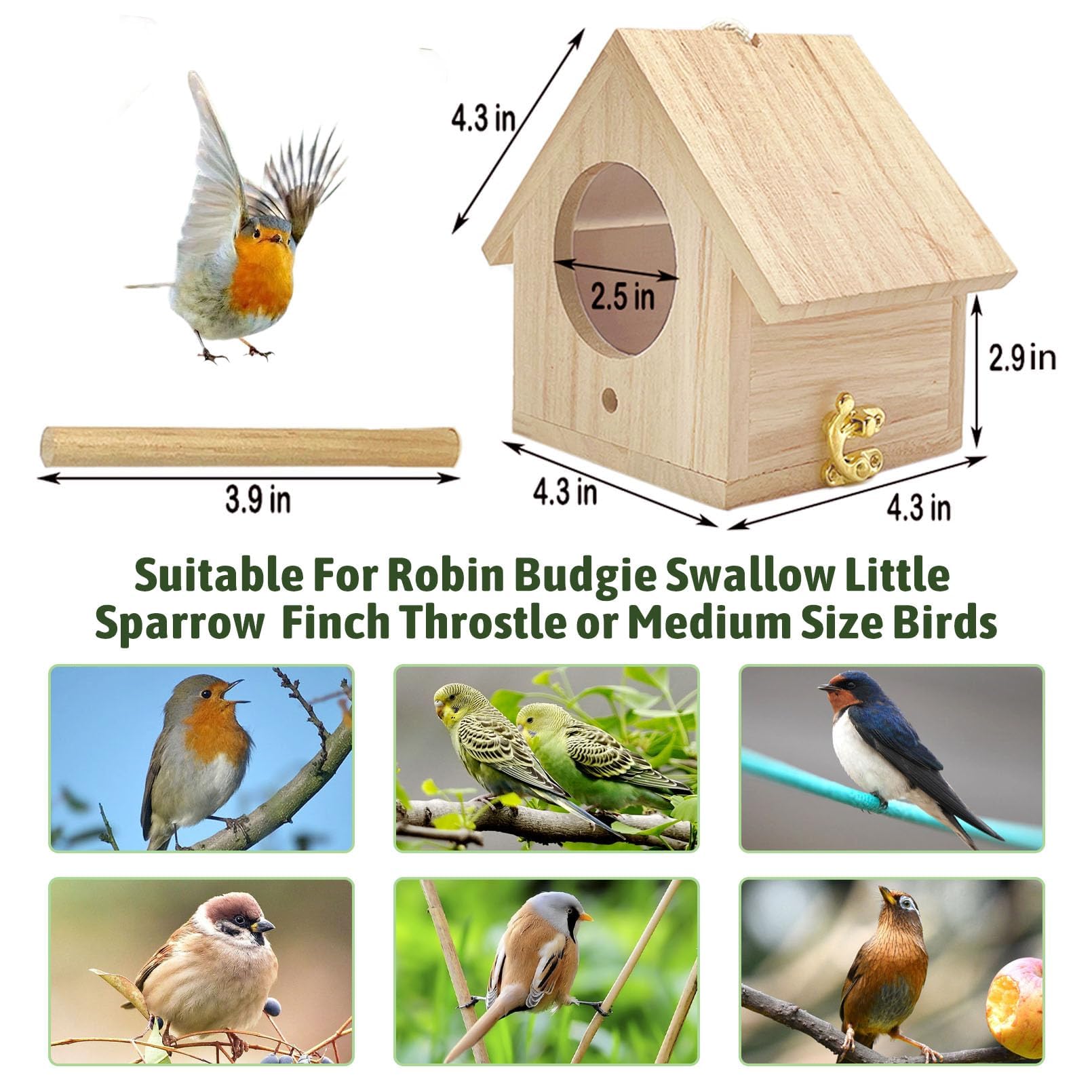 Tfwadmx bird house for fairy garden centerpiece, inviting colorful visits.
