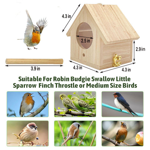 Tfwadmx bird house for fairy garden centerpiece, inviting colorful visits.