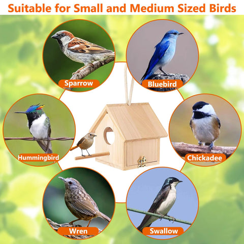 Tfwadmx birdhouse decorate-with-warm-grass supports cozy interiors and creative craft ideas