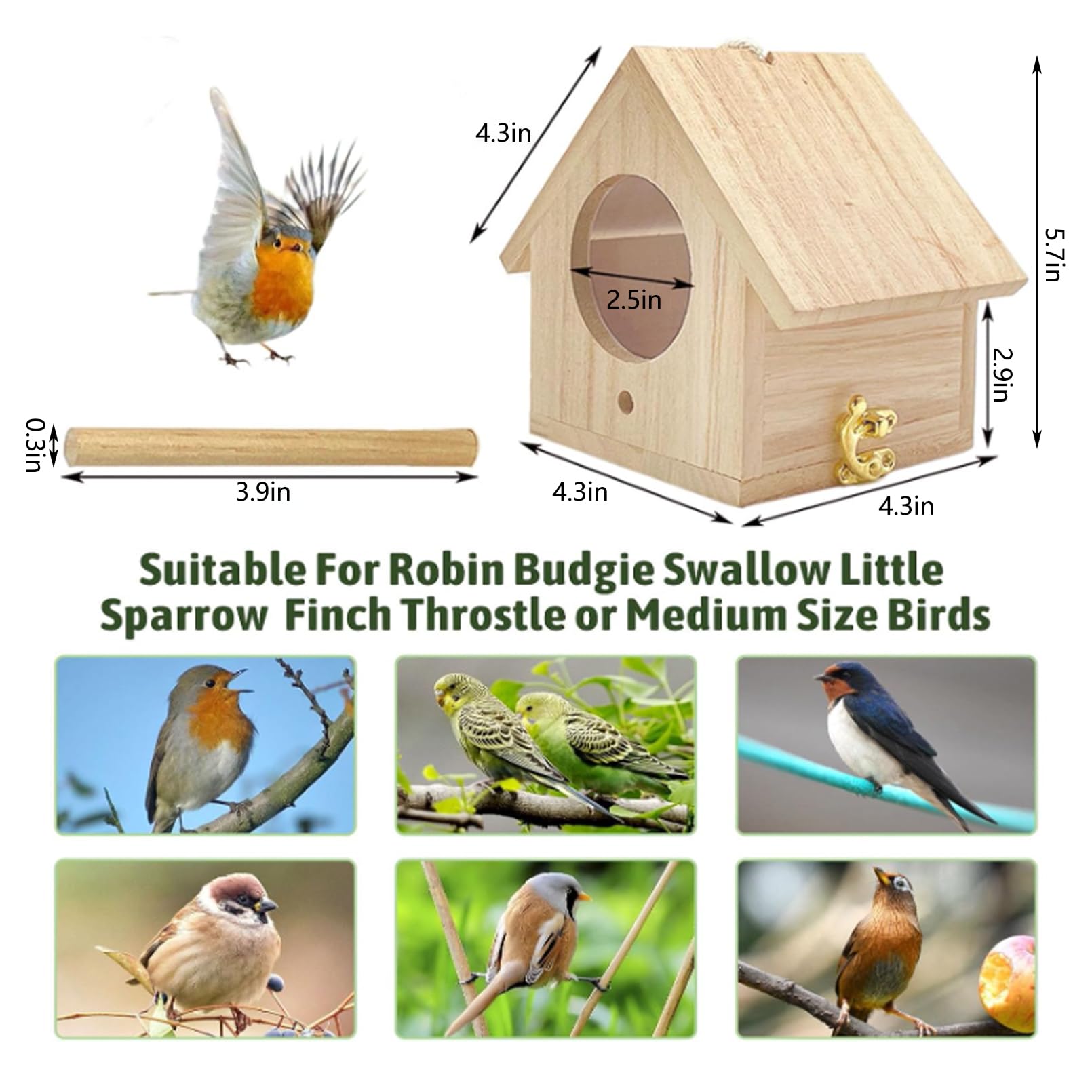 Tfwadmx birdhouse unfinished wood ready for DIY decoration