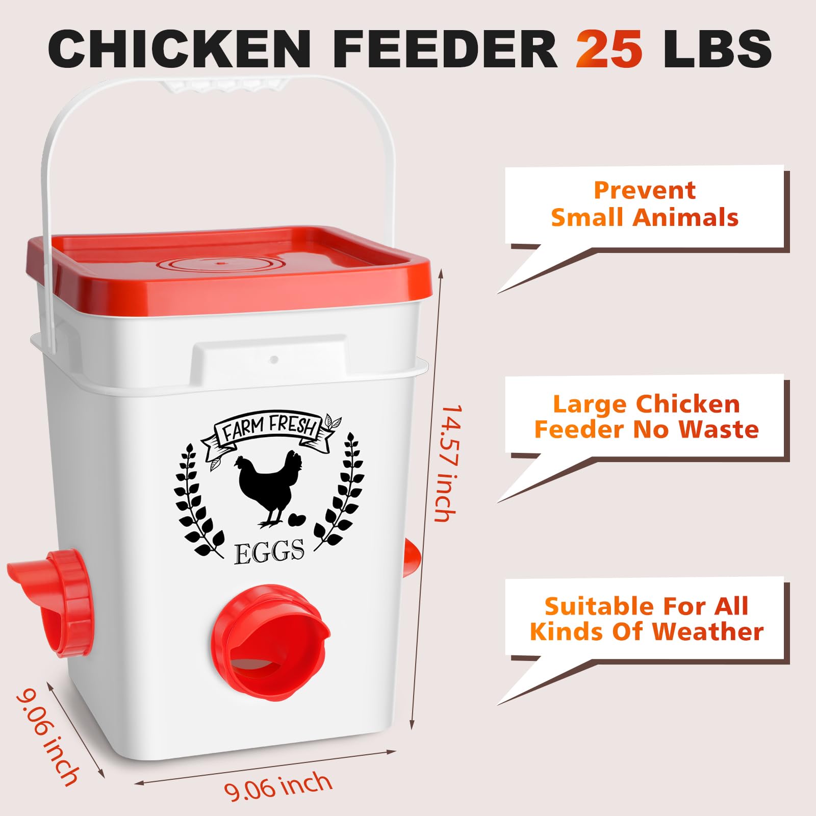 Tgeyd 3-port feeder reduces spills and keeps the coop tidy.