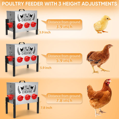 TGEYD 50LB feeder with 8-port setup supports social feeding.