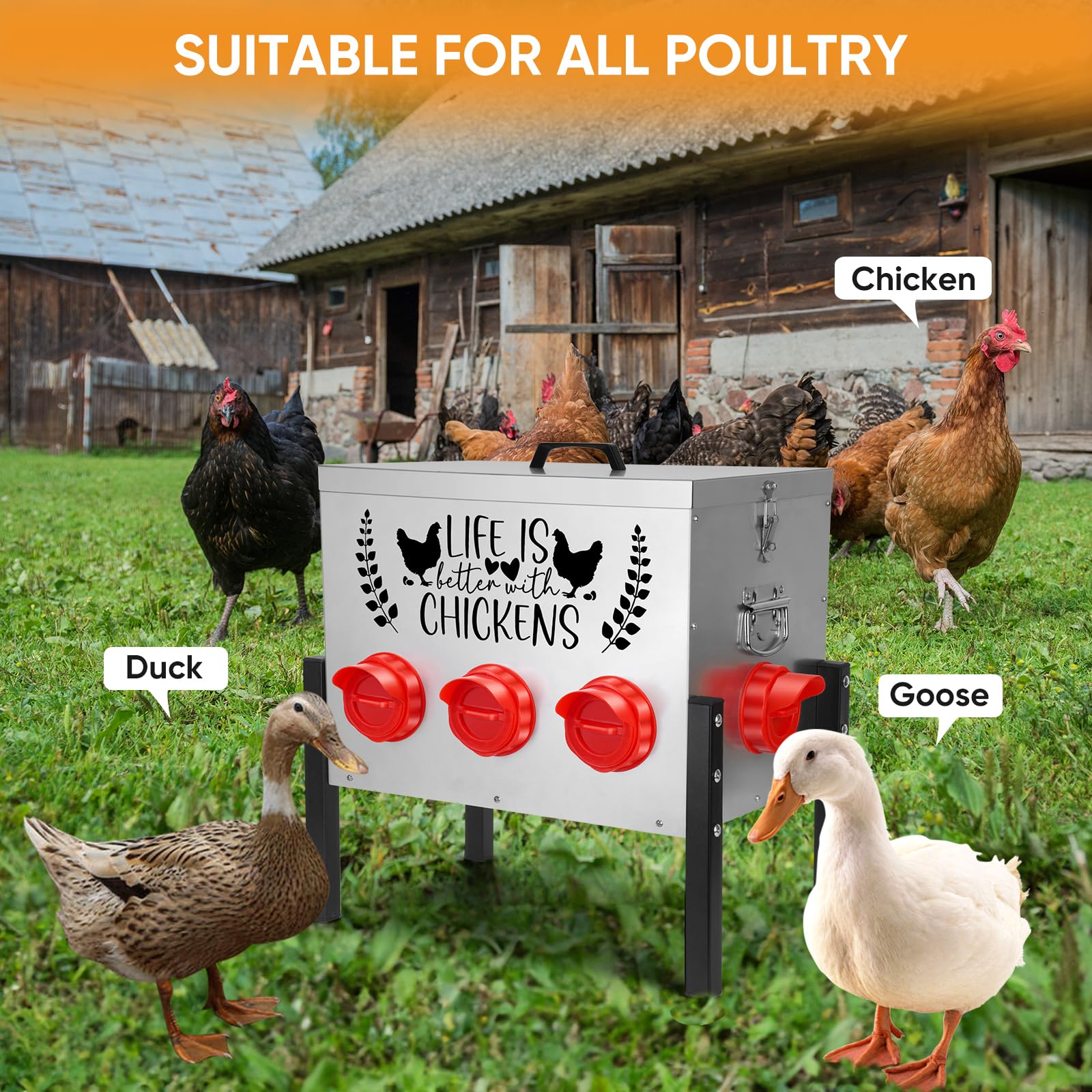 TGEYD 50LB feeder no-waste design minimizes waste while feeding.
