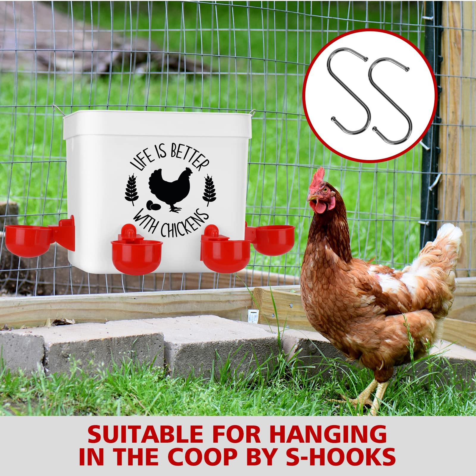 Tgeyd cute pattern decorates the coop while hydrating.