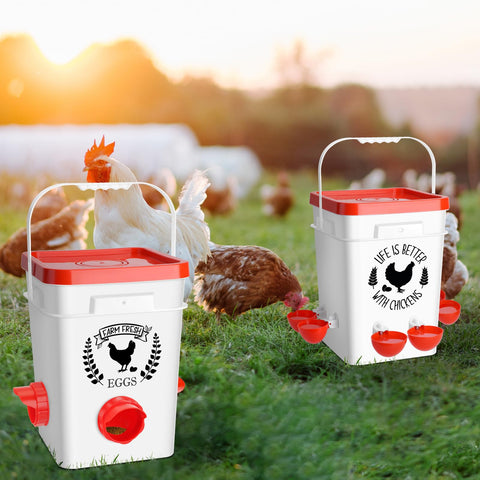 Tgeyd daily feed and water routine supports consistent coop care.