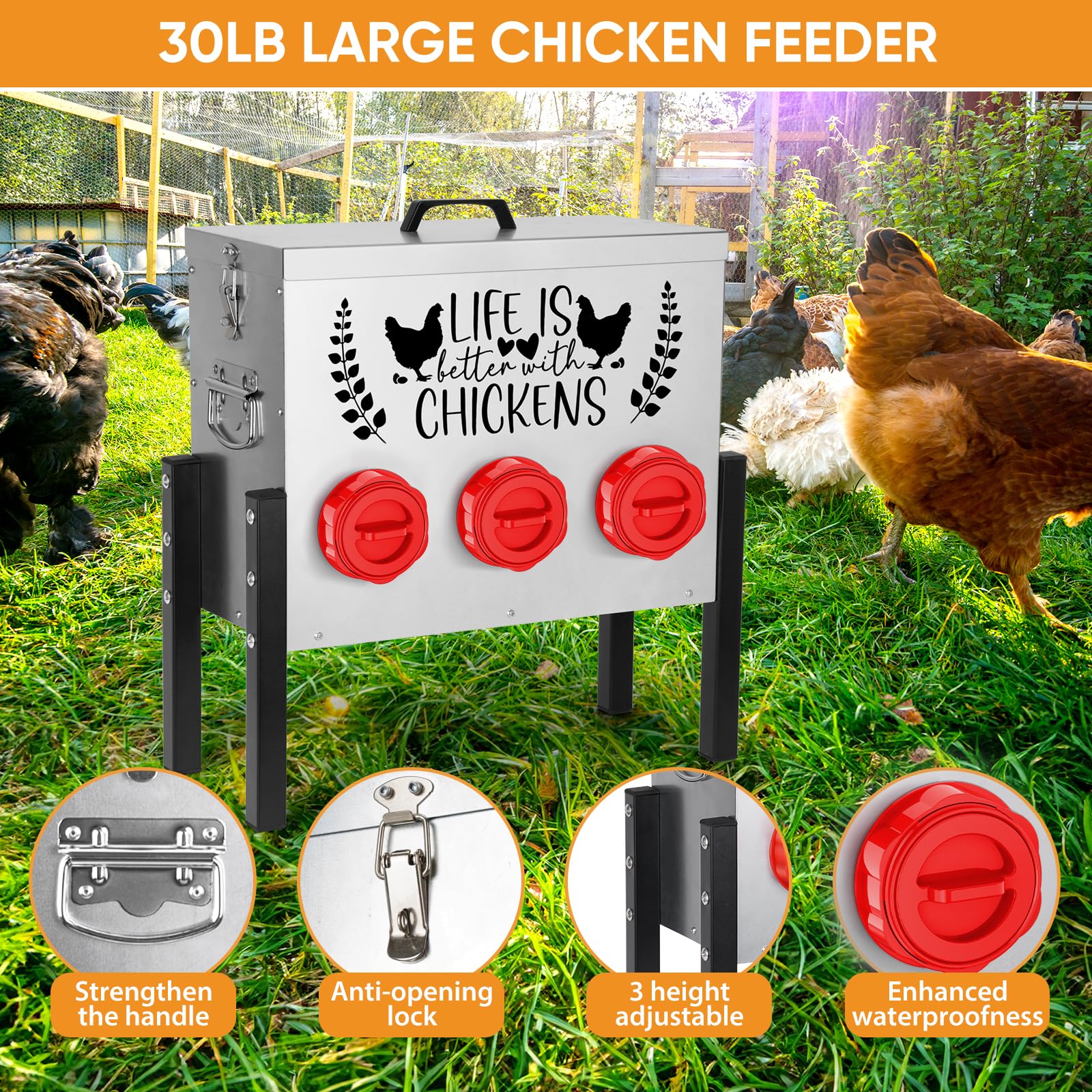 TGEYD adjustable height stand adapting to chicks and adults.