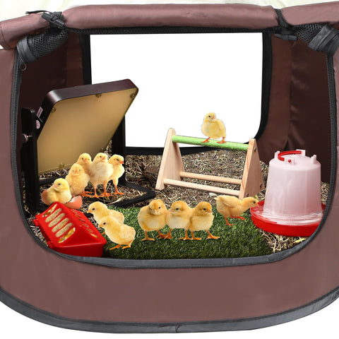 TharroCotte folded storage demonstrates compact, portable chick starter kit