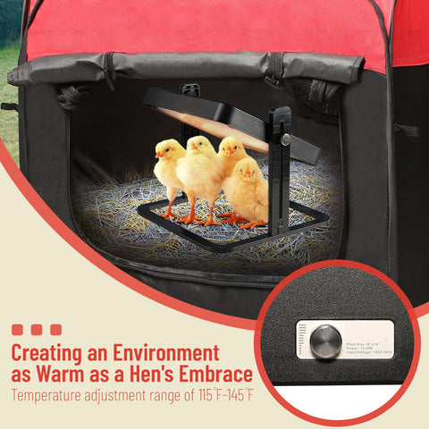 TharroCotte chicken feeder and waterer keeps chicks nourished and hydrated.