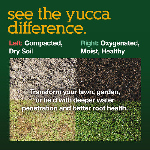 That Yucca Stuff Christmas tree care scene suggests longer-lasting tree health