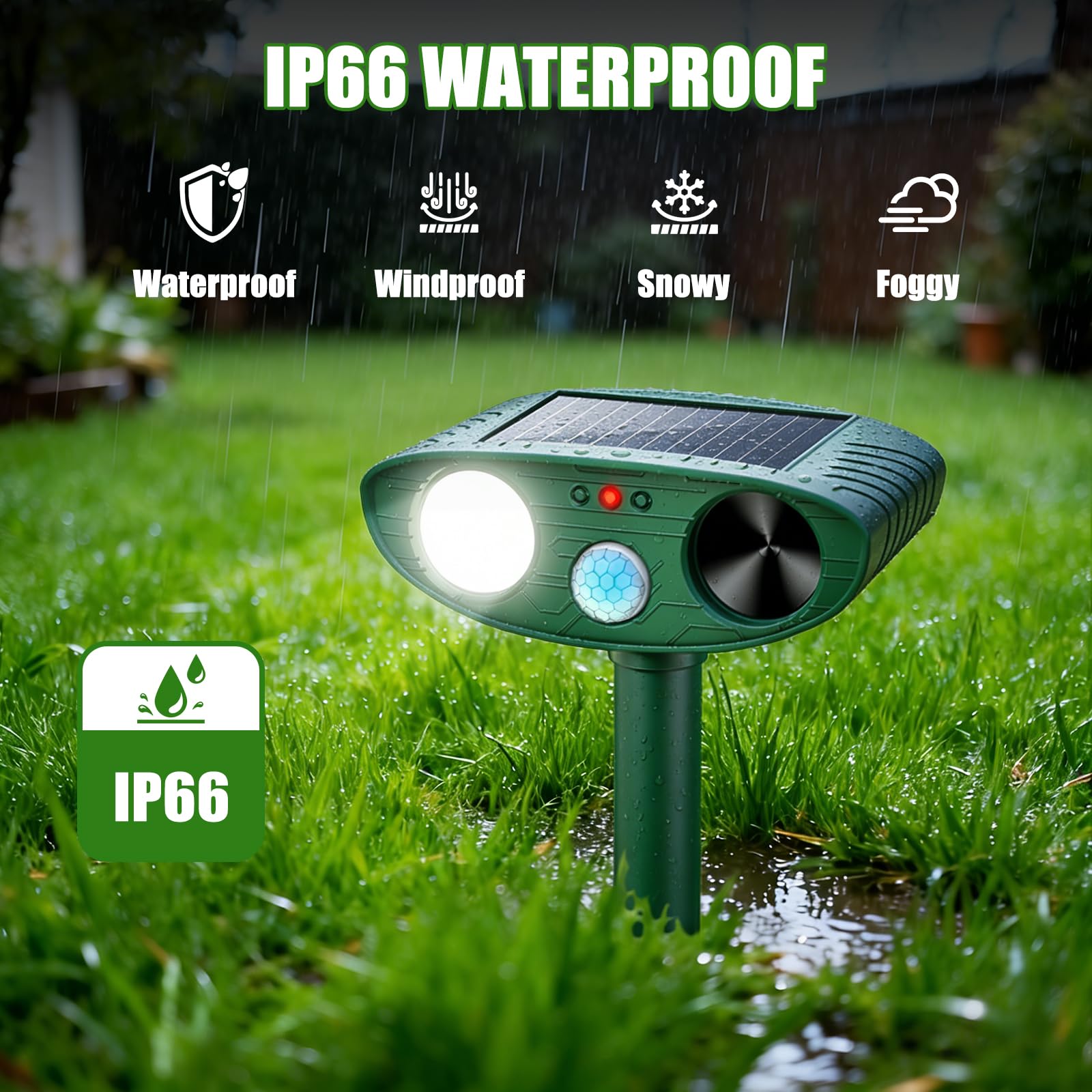 Thcritter 2026 PIR motion sensor activation demonstrates rapid response