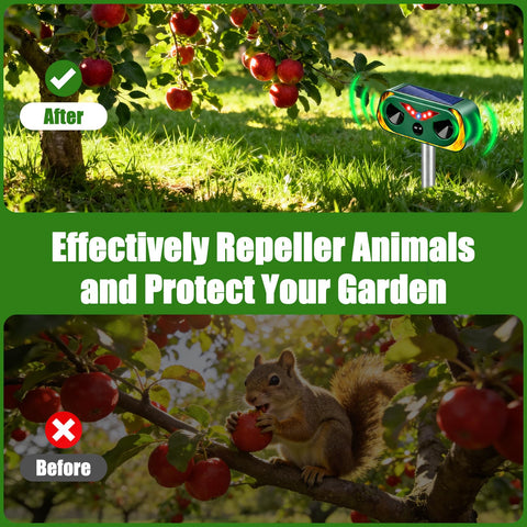 Thcritter IP65-rated build resists rain and snow for year-round outdoor use.