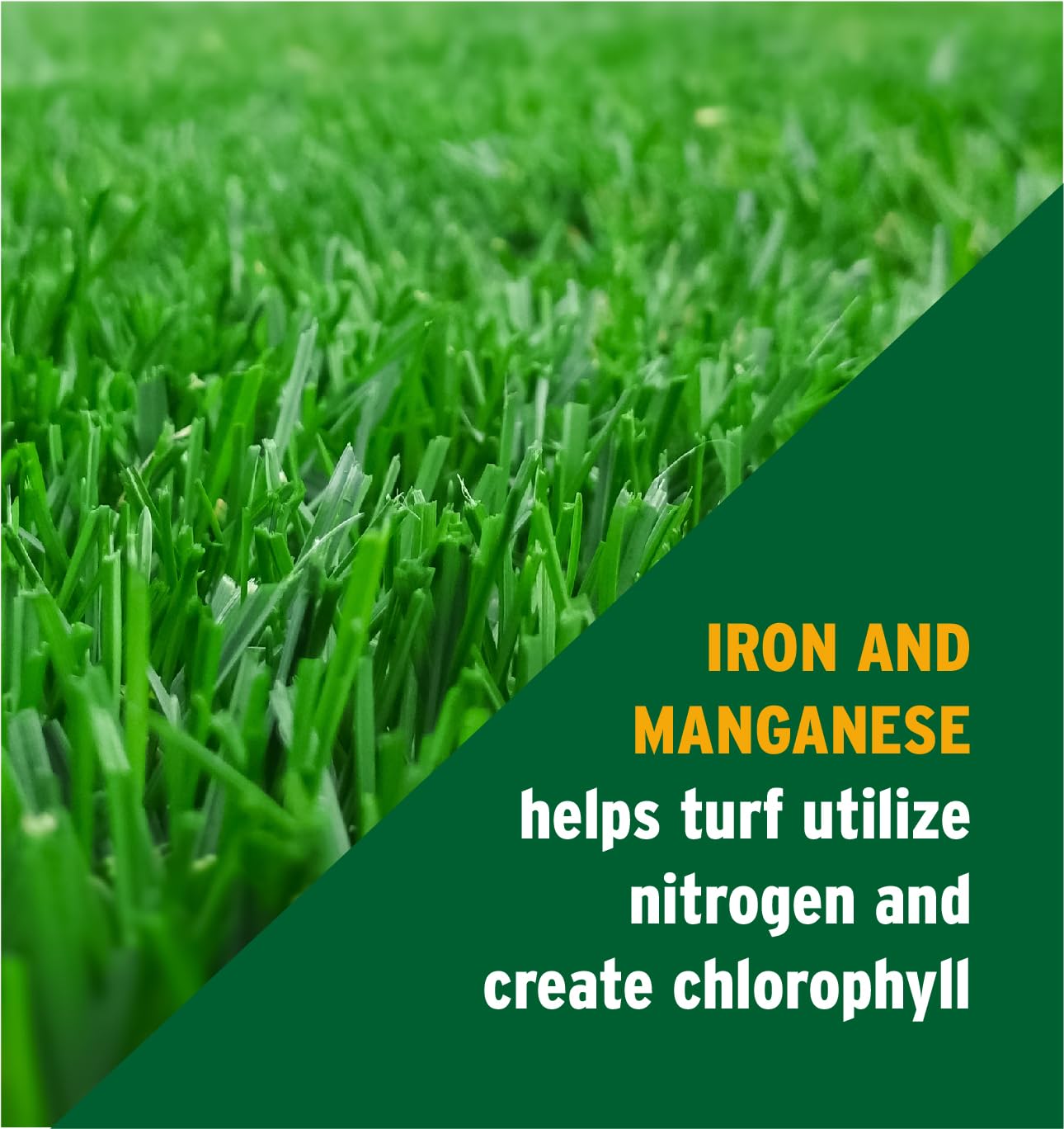 The Andersons Deep Green 24-0-11 lush turf after application shows color depth.