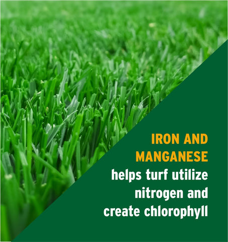 The Andersons Deep Green 24-0-11 lush turf after application shows color depth.