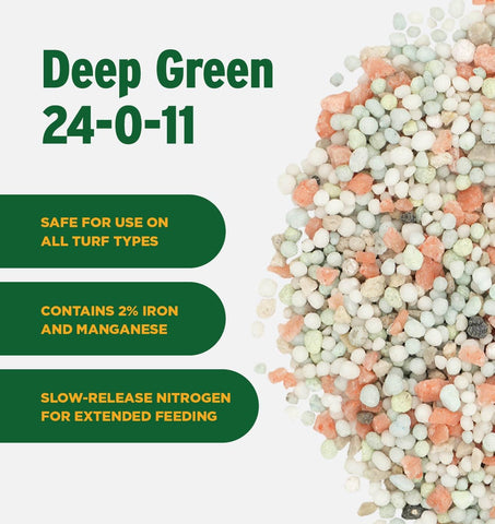 The Andersons Deep Green 24-0-11 spreader dispensing evenly for uniform feeding.
