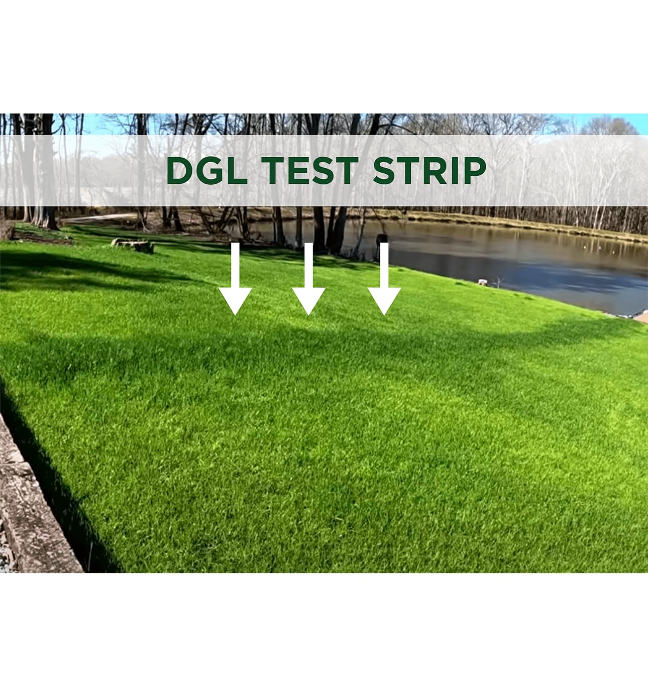 The Andersons DGL can be used at a light rate to supplement other applications.