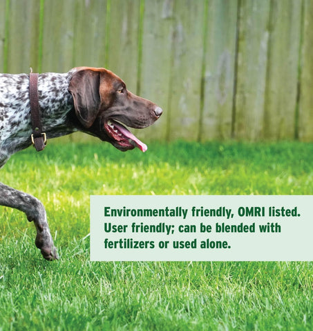 The Andersons Humichar biochar granules provide long-term soil structure improvements.