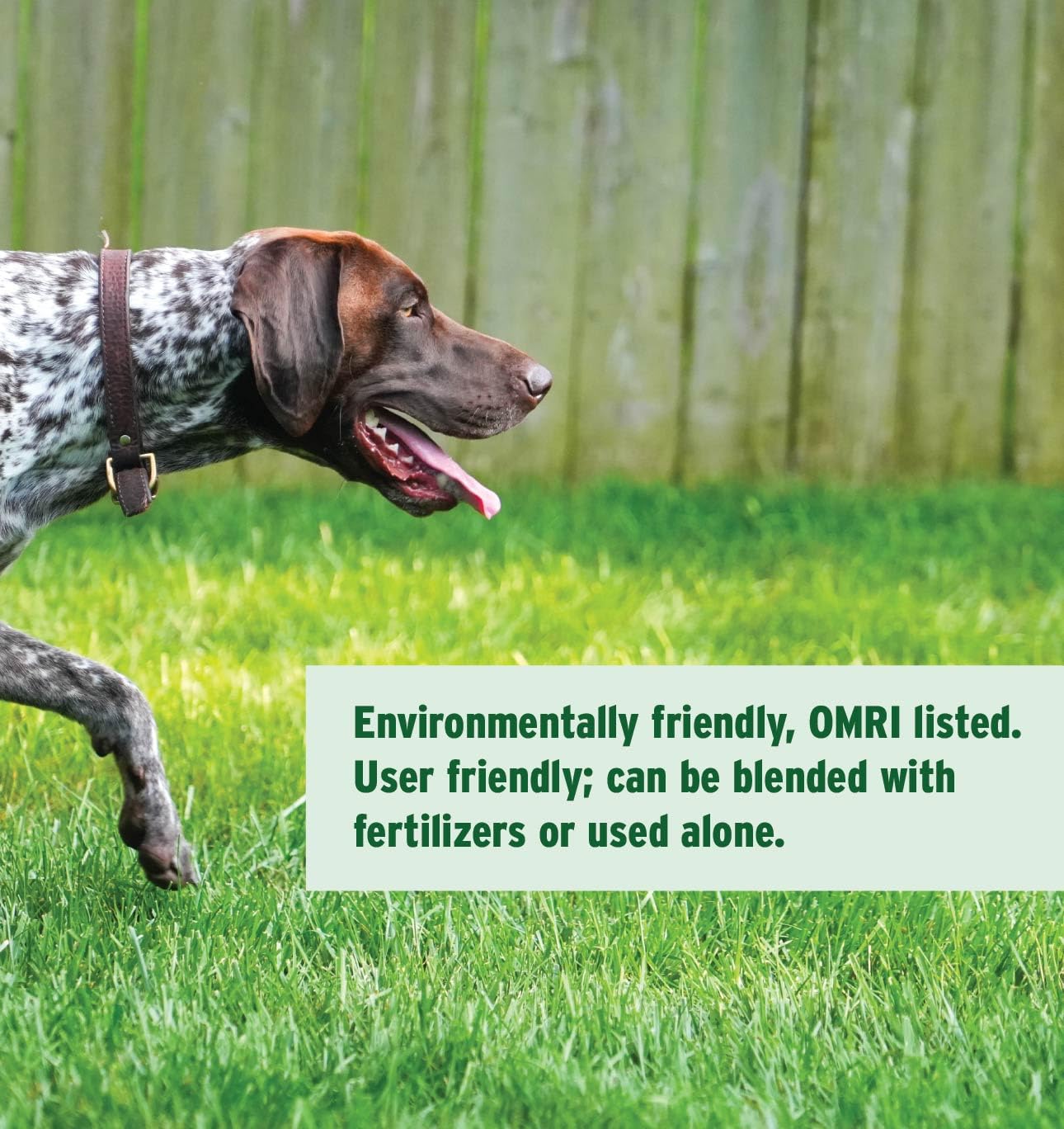 The Andersons HumiChar applied to a lush lawn area highlighting quick humic benefits.