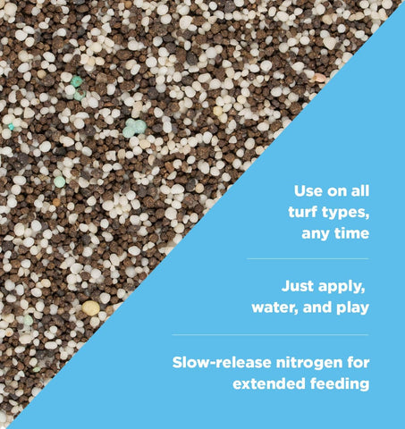 The Andersons Pet Safe 24-0-6 spreading across turf during application for root-zone nourishment.