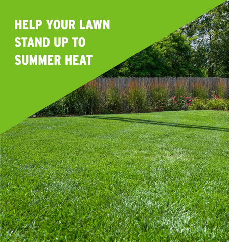 The Andersons lawn-food spread application showing even coverage