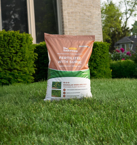 Dandelion weed illustration highlights Surge's broad weed control.