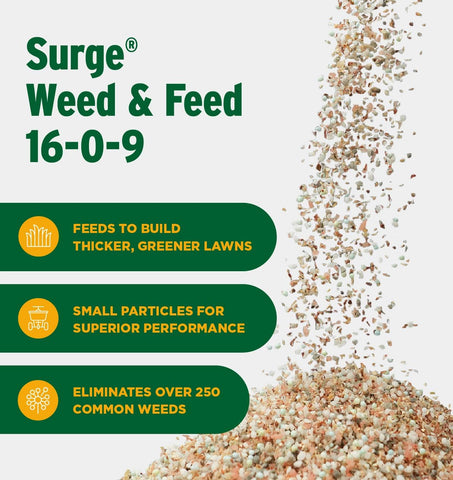 Healthy, green lawn texture showing Surge’s feeding action.