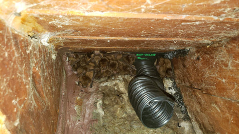 Installation kit included for quick TBV-FR4 setup in the attic.