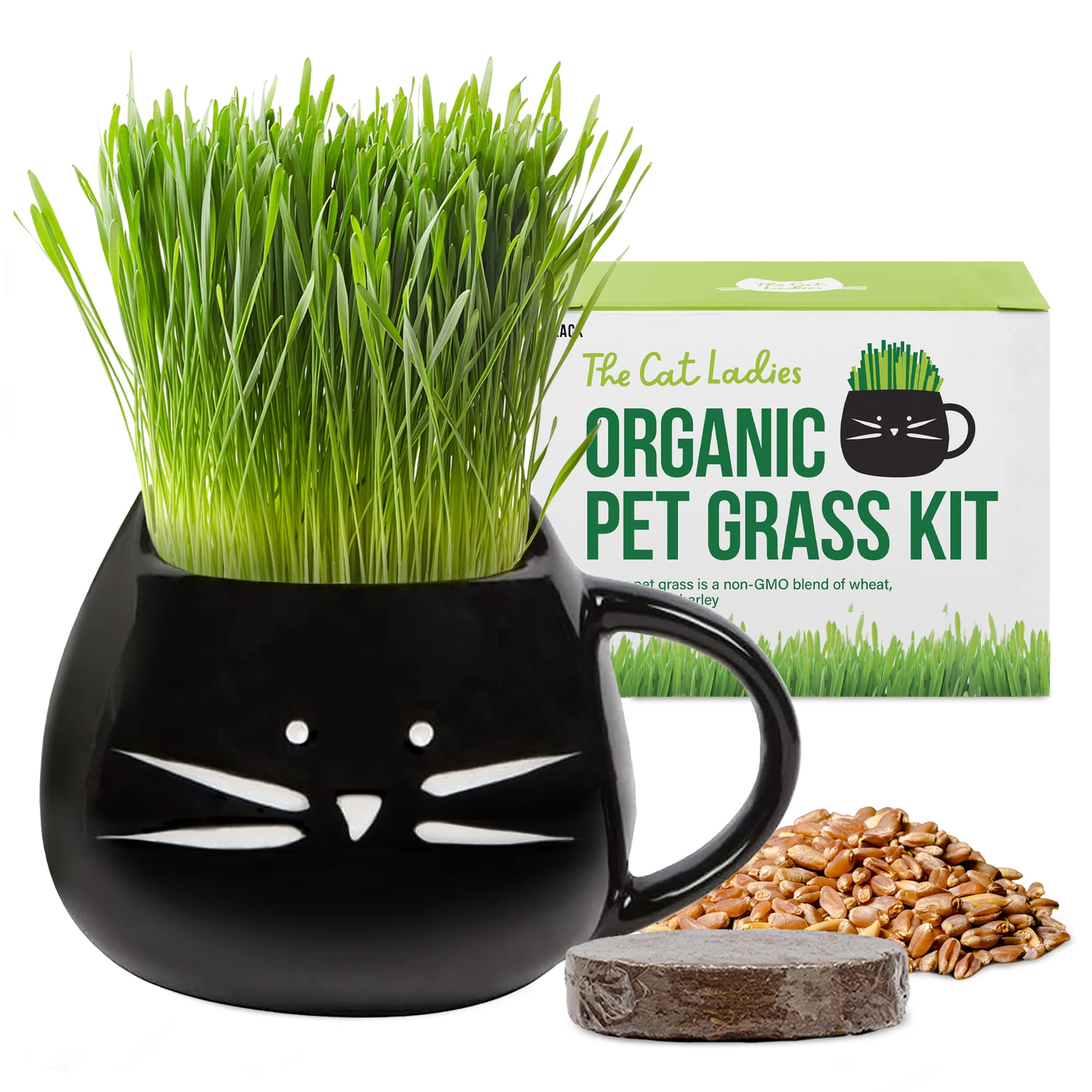The Cat Ladies cat grass kit in a black planter, fresh greens for indoor cats.