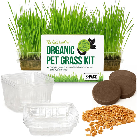 The Cat Ladies cat grass growing kit packaging, easy setup for fresh indoor greens.