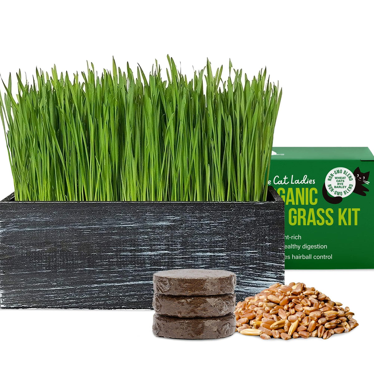 The Cat Ladies cat grass kit in black planter, ideal for indoor cats.