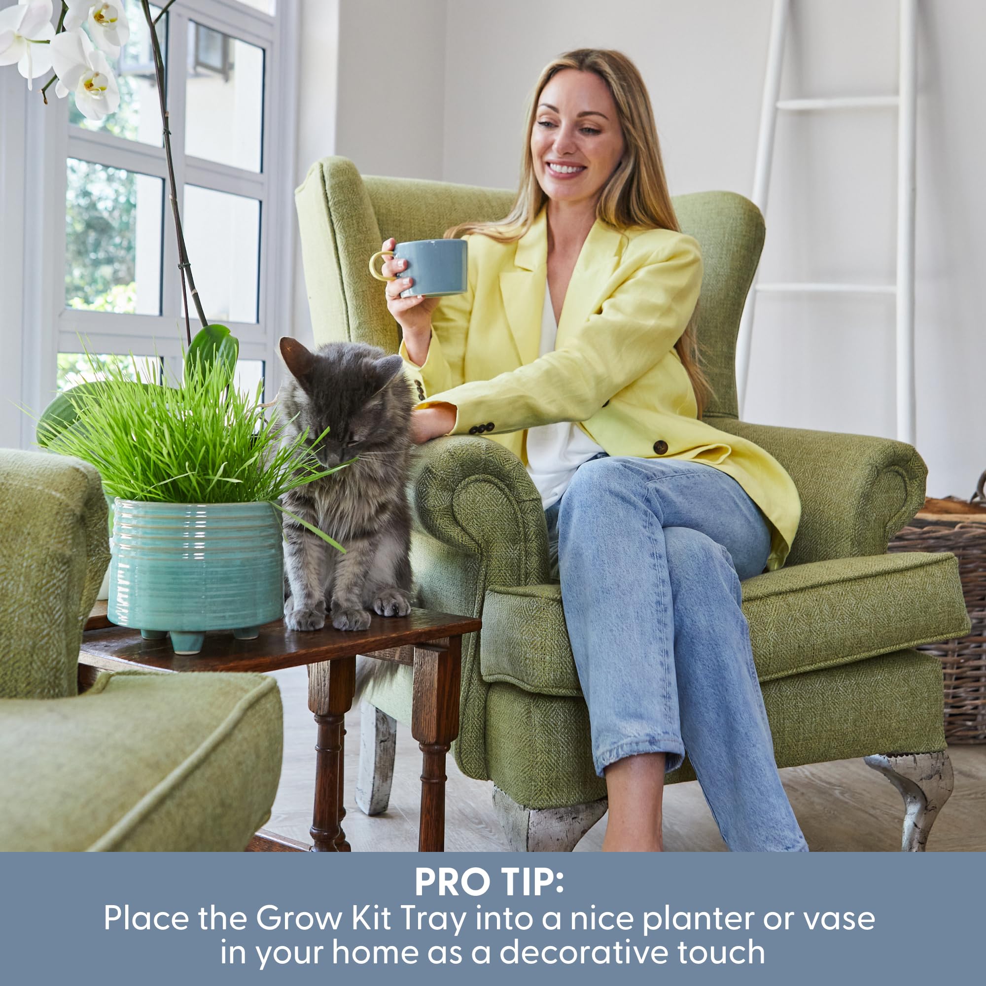 The Cat Ladies gift-ready box appeals to cat parents seeking eco-friendly gifts
