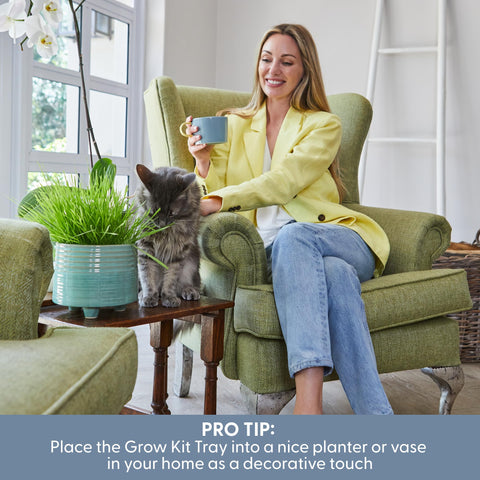 The Cat Ladies gift-ready box appeals to cat parents seeking eco-friendly gifts