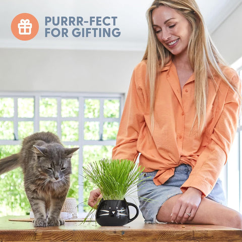 The Cat Ladies kit in use with water and sprouting seeds, supports digestion.