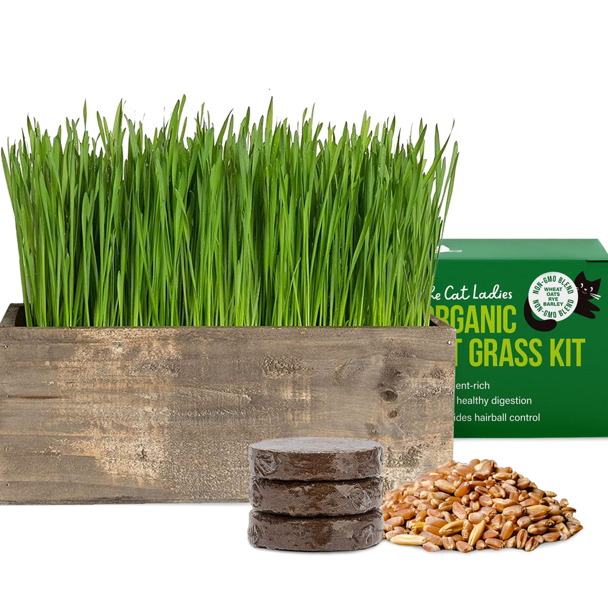 The Cat Ladies cat grass kit in rustic planter boosts indoor greenery for happy cats.