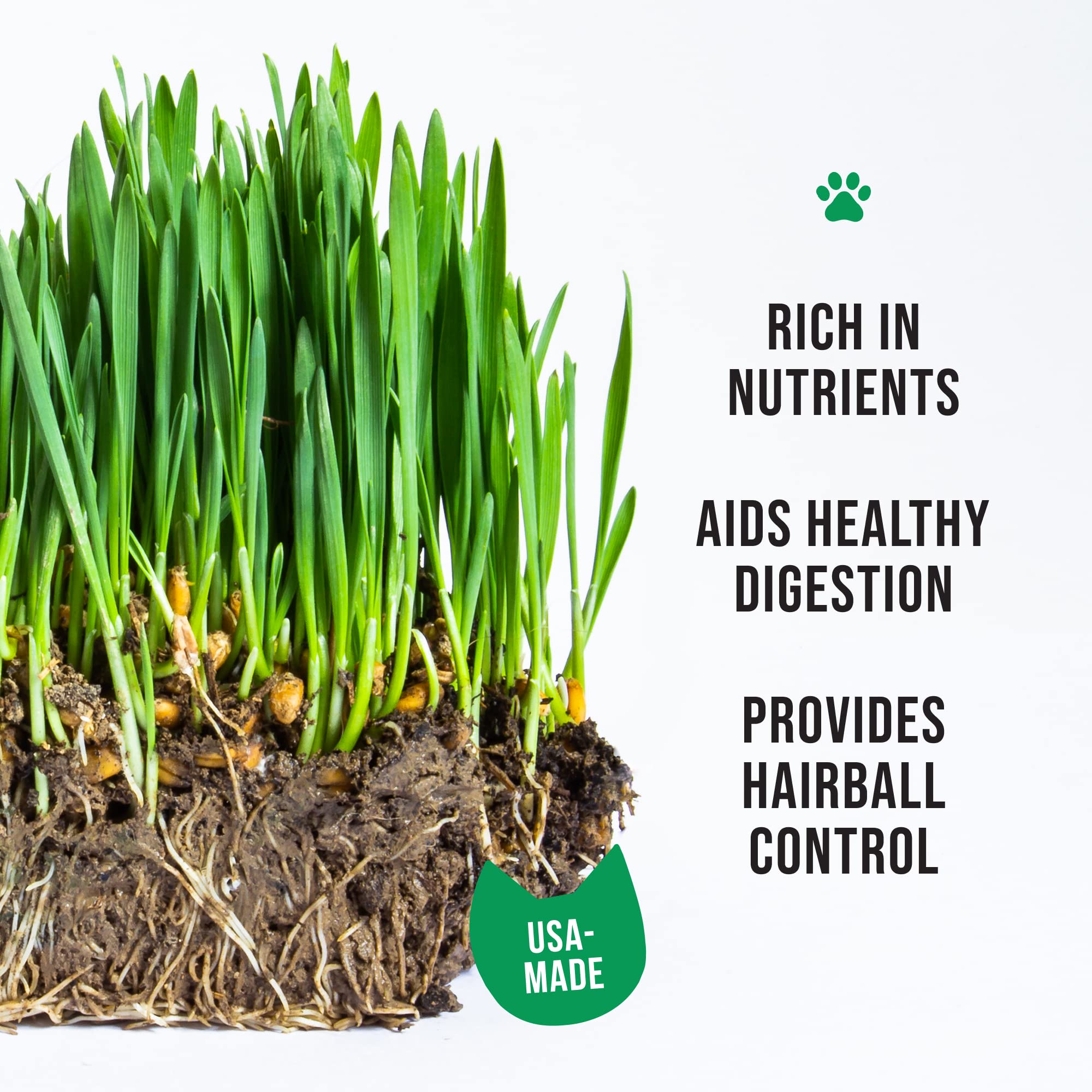The Cat Ladies seed blend close-up highlights organic, non-GMO mix for cat grass