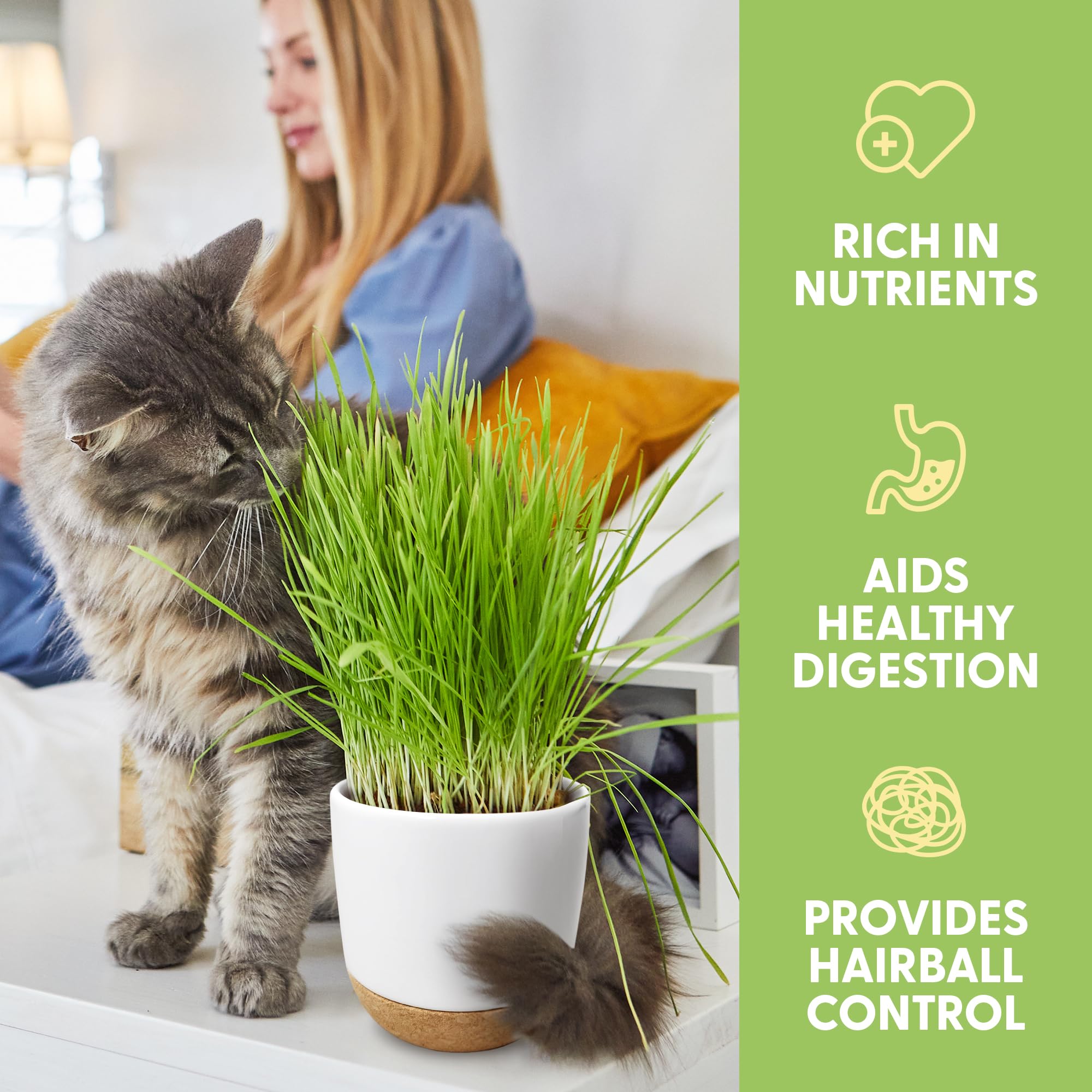 The Cat Ladies cat grass seeds packet—organic mix for fiber-rich greens.