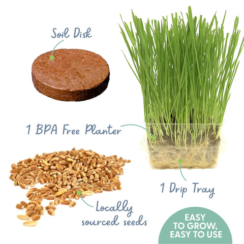The Cat Ladies soil container demonstrates BPA-free material for indoor use