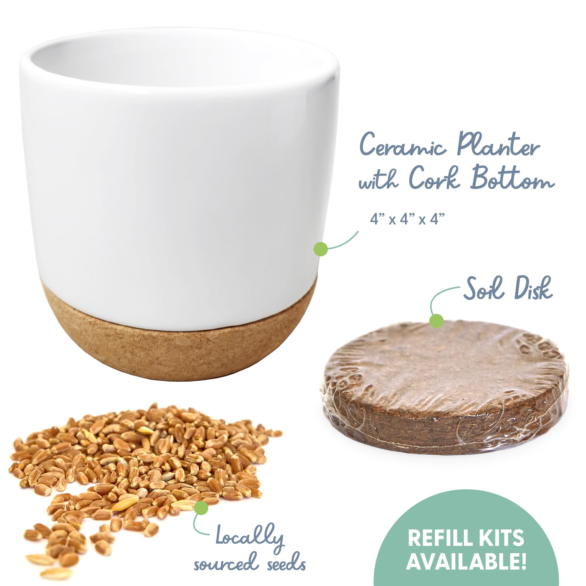 The Cat Ladies soil disk—easy setup to start growing cat grass quickly.