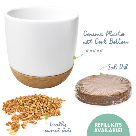 The Cat Ladies soil disk—easy setup to start growing cat grass quickly.