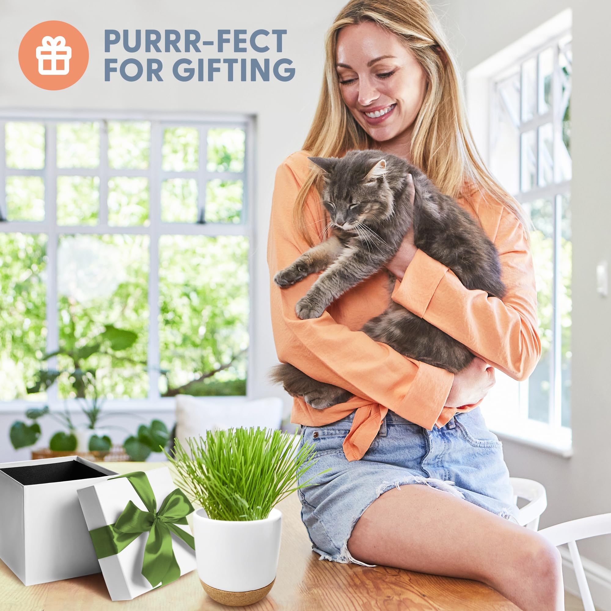 The Cat Ladies cat grass sprouts—tiny greens ready in 4–7 days.